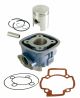 Gruppo Termico (motore) RMS Blue Line Gilera/Piaggio 50 <-2000 Liquido