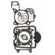 Serie Guarnizioni Smeriglio Honda SH 300 2007-> RMS 100689560
