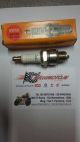 CANDELA BR7HS NYPSO