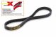 Cinghia Honda Pantheon 125 - 150 2T Malossi 619955