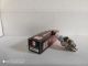Candela Spadaro BPMR7A comptibile NGK